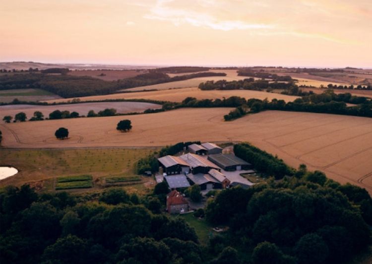 The complete process from field to bottle takes place on the Ramsbury Estate in Wiltshire. They grow and distil the primary ingredients themselves, monitoring each step from planting and growing, to harvesting and distilling.